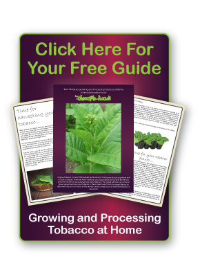 Your Free Guide to Growing and Processing Tobacco at Home